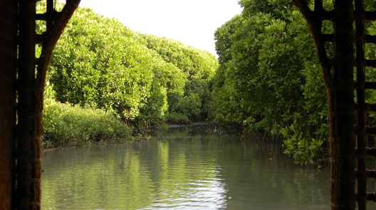 Riceboat Cruise from Coconut Island