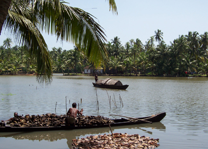 Coconut Island, Thrissur