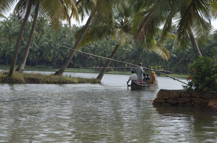 Coconut Island, Thrissur