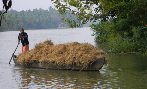 Coconut Island, Thrissur