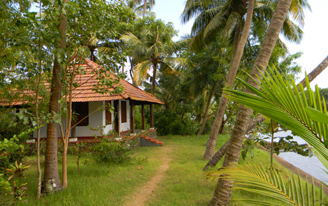 Coconut Island - Thrissur