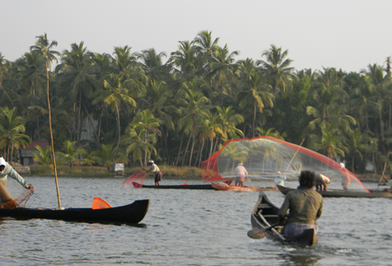 Coconut island - Country boat trip