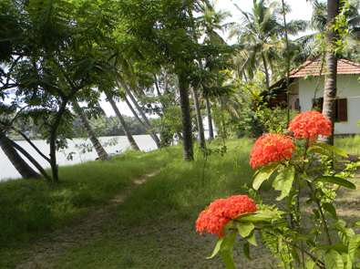 Coconut Island, Thrissur