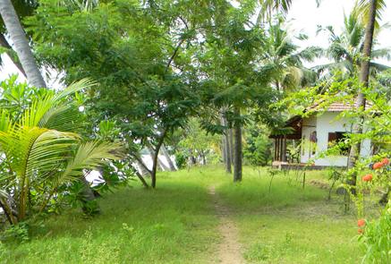 Coconut Island - Private island in the backwaters.