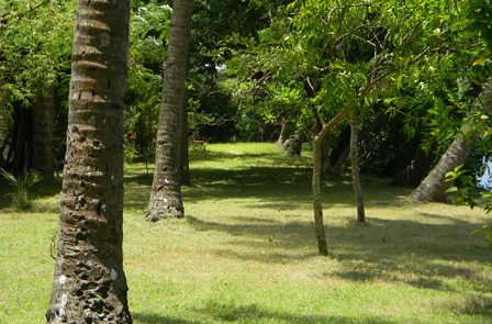 Coconut Island - Private island in the backwaters.