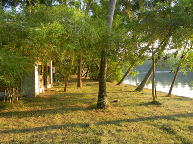 Coconut Island, Thrissur